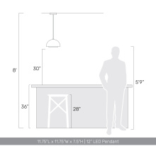 3632-12 SNB-ACR_6.jpg